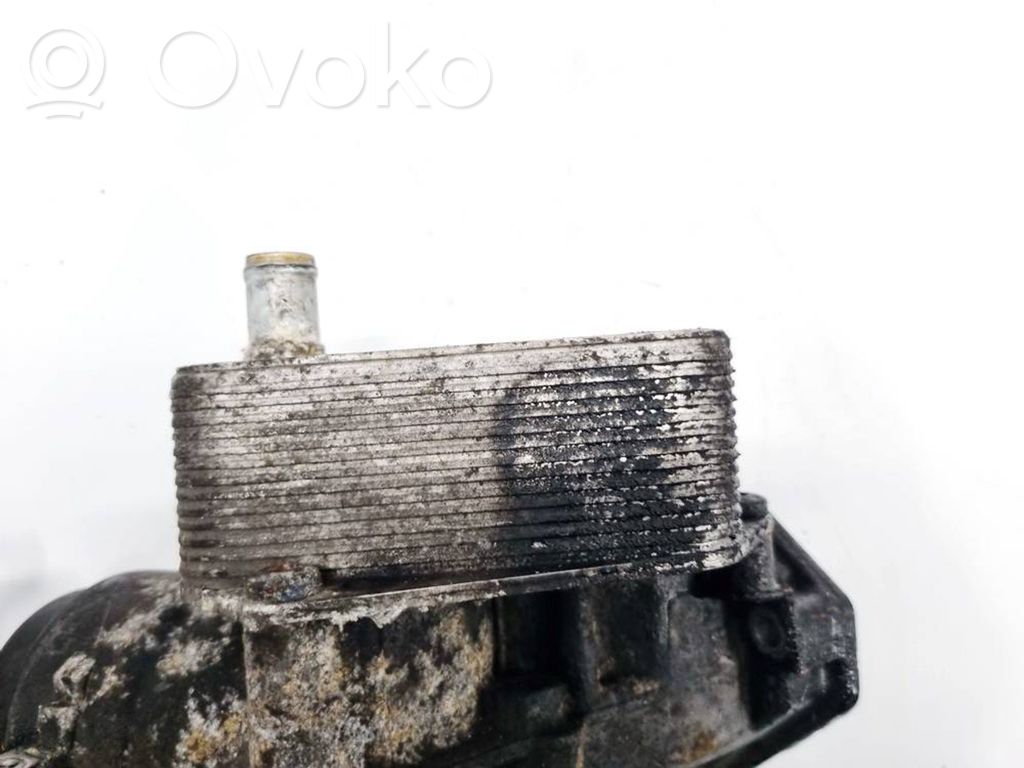 Radiatore dell’olio del motore