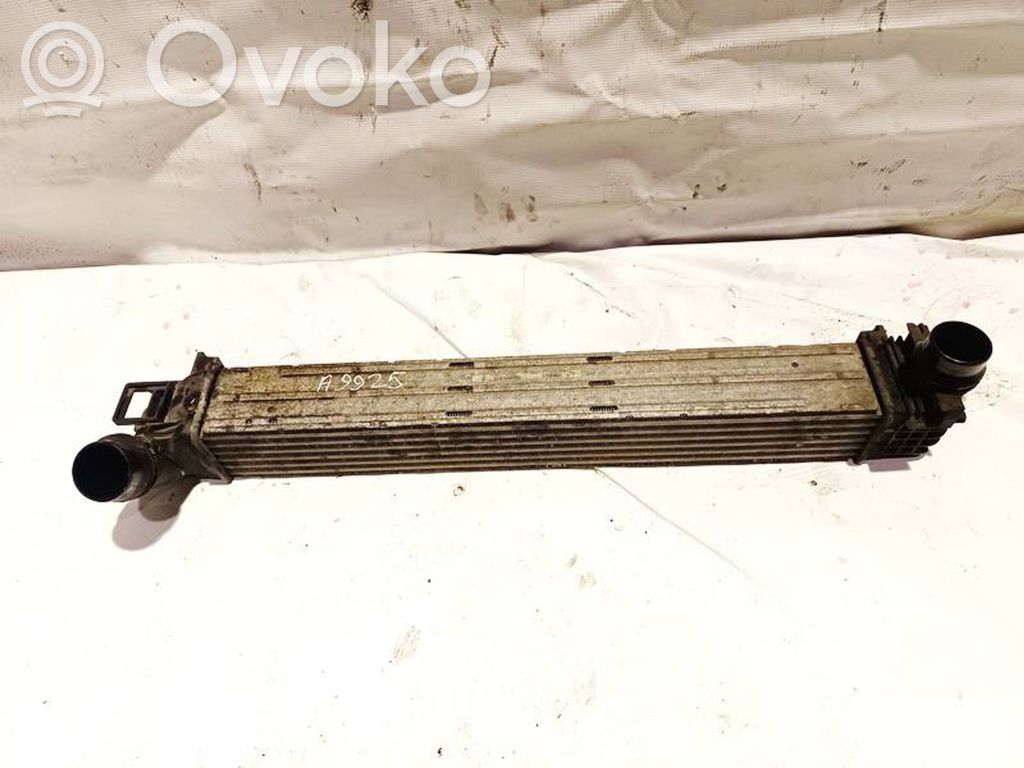 Renault Megane III Radiatore intercooler 