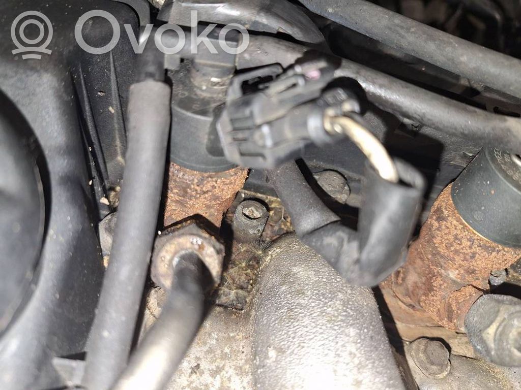 Inyector de combustible   0445110036,9653344880,0445110036,9653344880