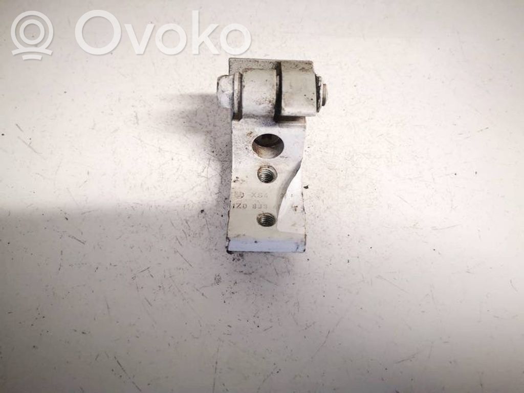 Skoda Octavia Mk2 (1Z) Cerniera inferiore della portiera posteriore