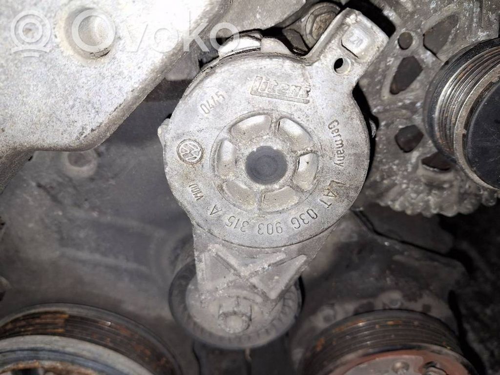 Volkswagen PASSAT B6 Napinacz paska alternatora 