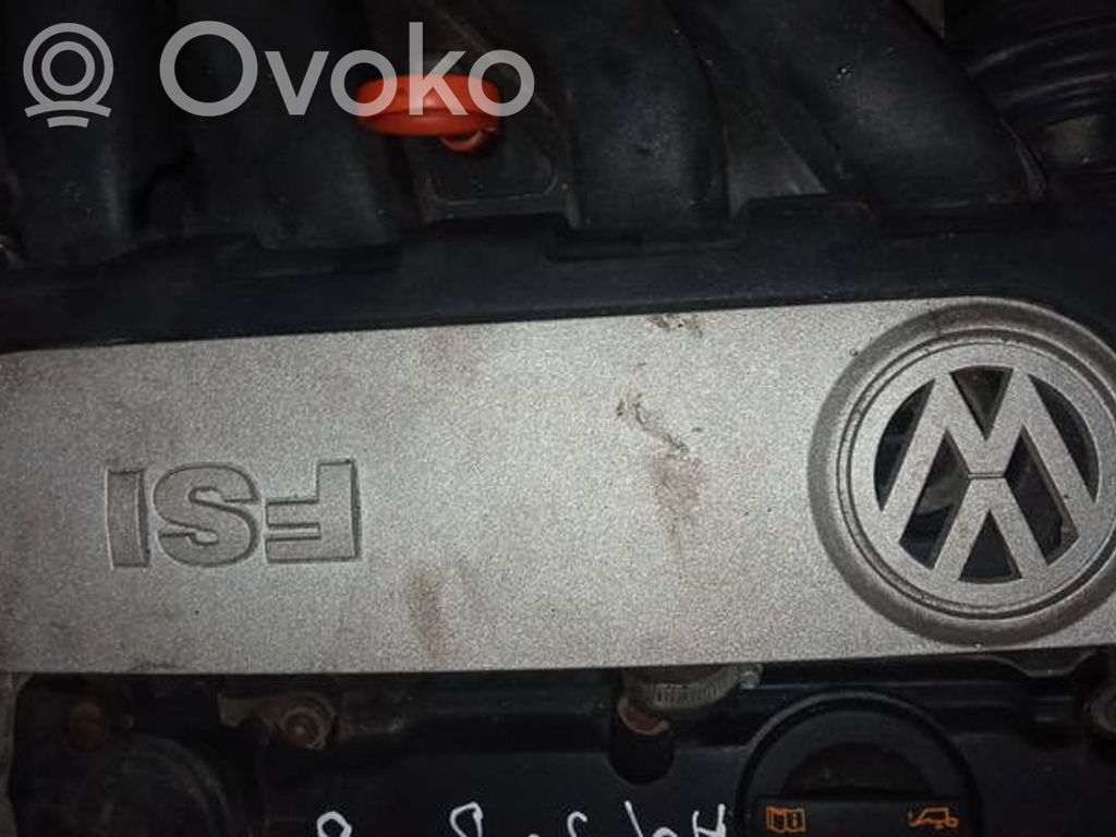 Volkswagen PASSAT B6 Copri motore (rivestimento)