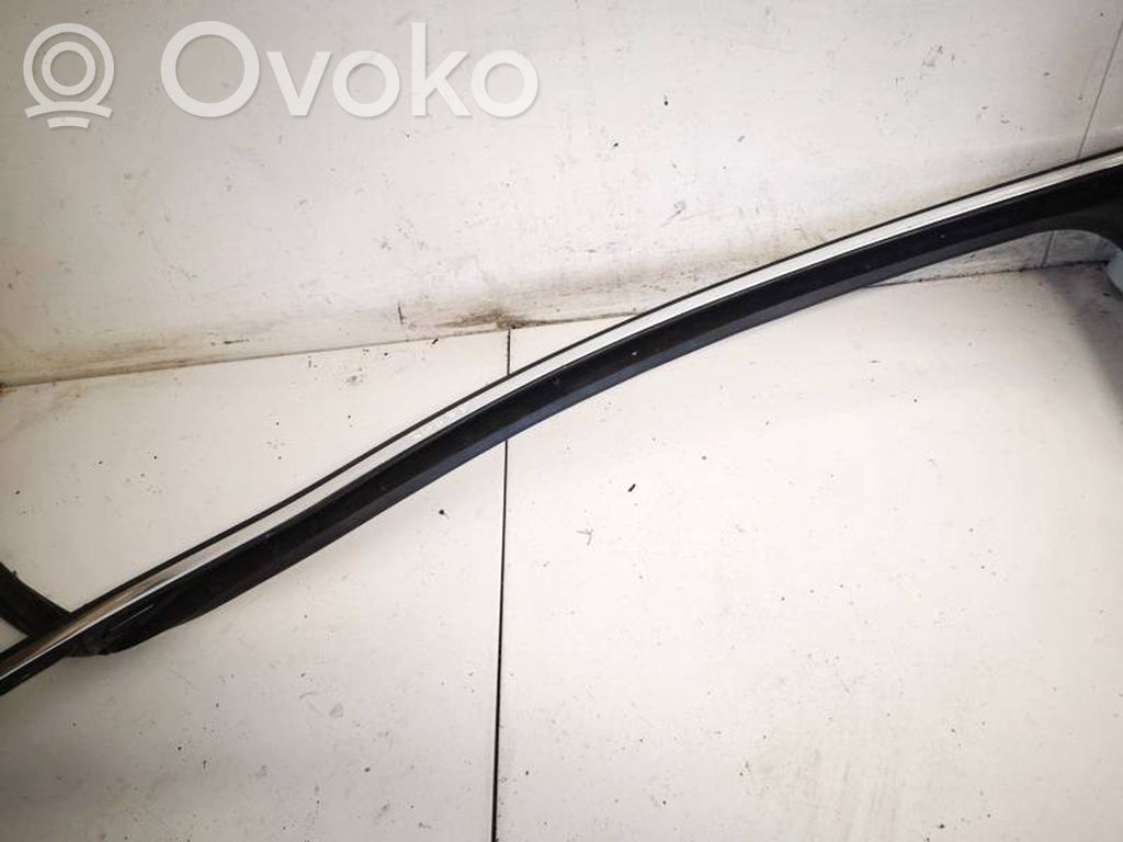 Volkswagen PASSAT B6 Rivestimento modanatura del vetro della portiera anteriore