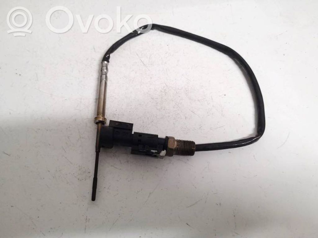 BMW X1 F48 F49 Abgastemperatursensor
