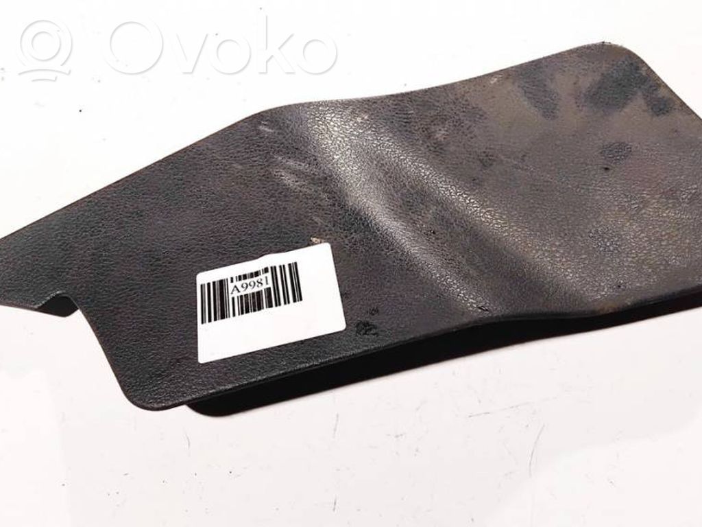 Renault Laguna II Altra parte interiore 