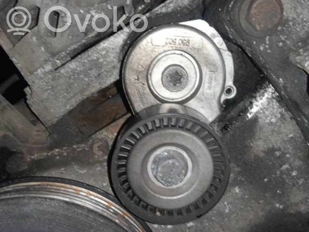 Diržo įtempėjas   950502,950502