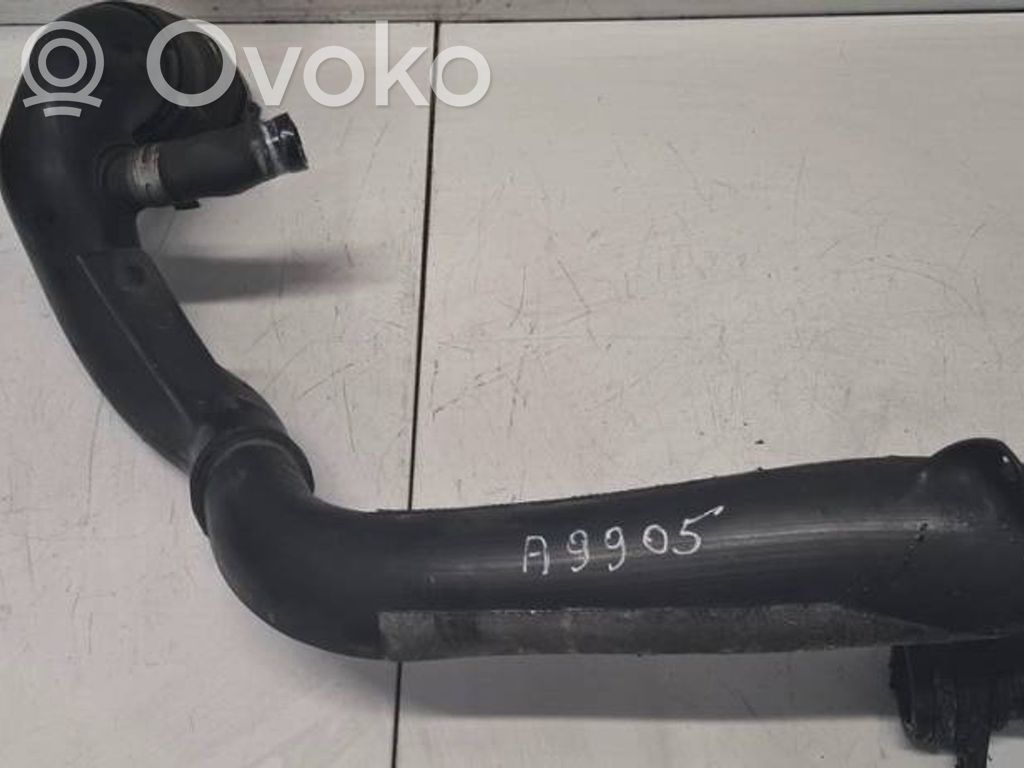 Peugeot 406 Wąż / Rura intercoolera 