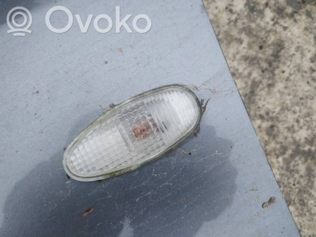 Seitenblinker