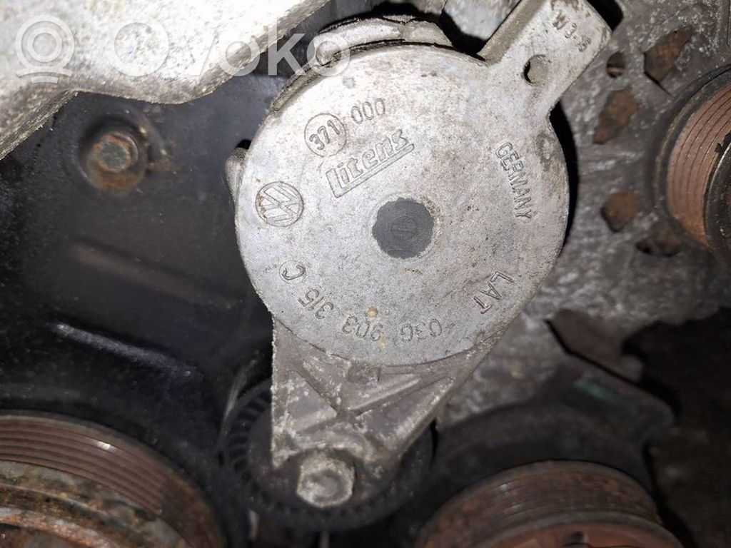 Volkswagen PASSAT B6 Tendicinghia generatore/alternatore