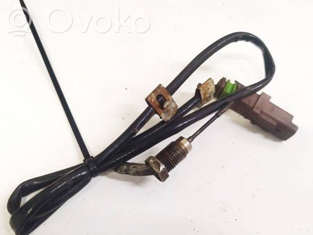 Peugeot 407 Sensore di temperatura dei gas di scarico 