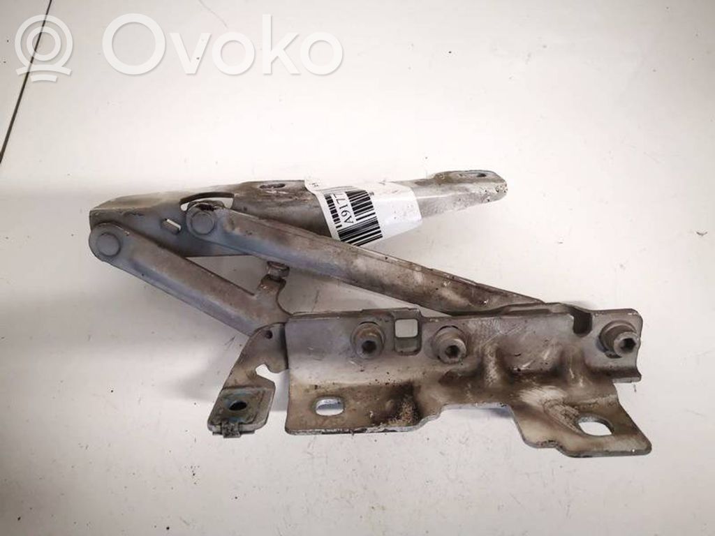 Opel Insignia A Cerniere del vano motore/cofano 