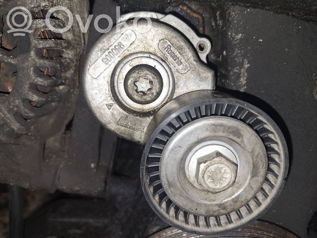 Fiat Punto (188) Napinacz paska alternatora 