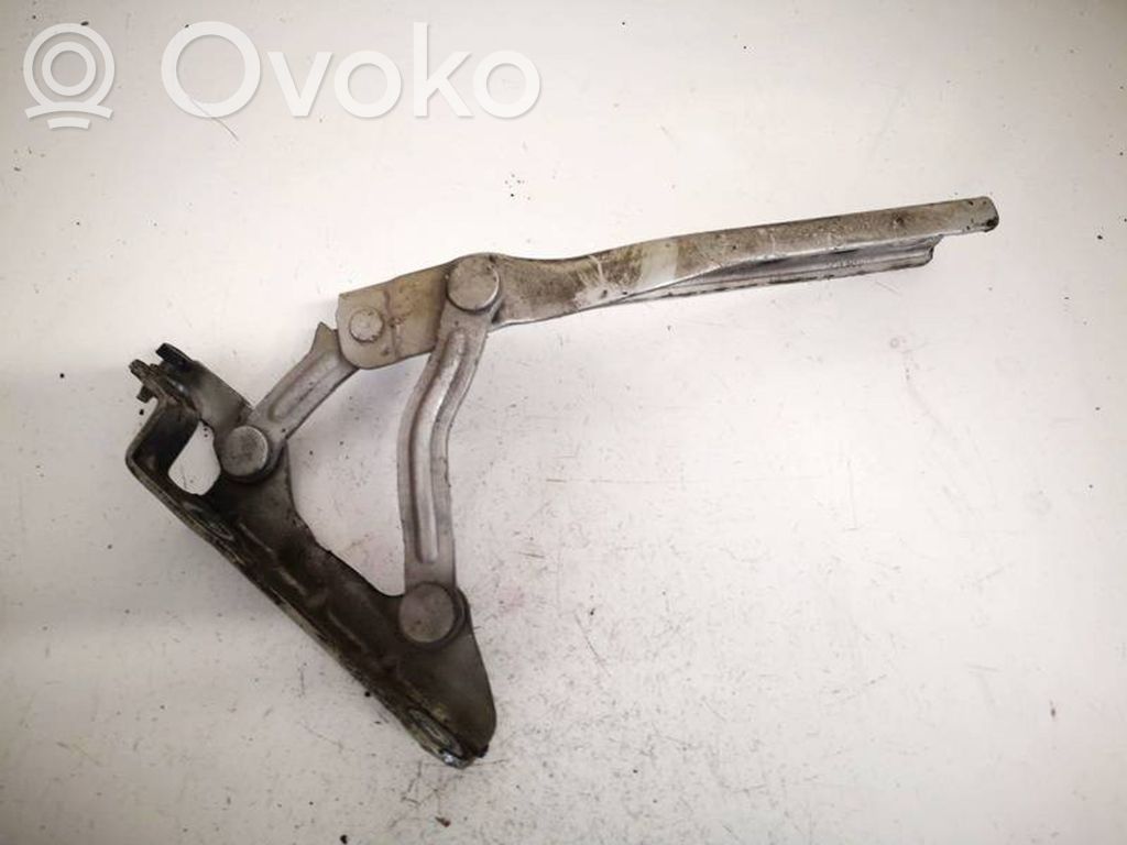 Skoda Octavia Mk2 (1Z) Cerniere del vano motore/cofano