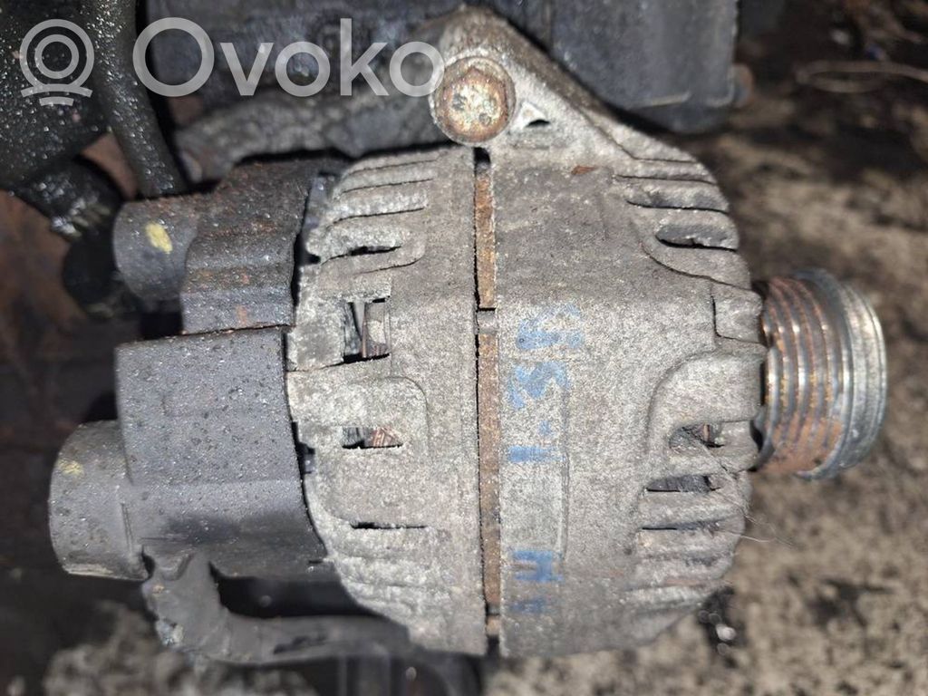 Alternator   13283344,308003411,13283344,308003411
