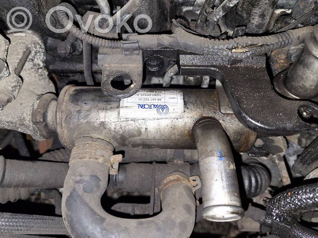 Peugeot 307 Valvola di raffreddamento EGR