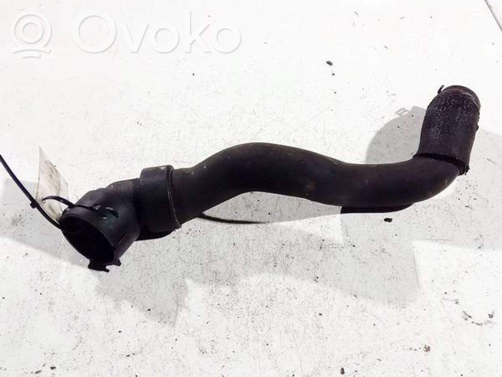 Engine coolant pipe/hose