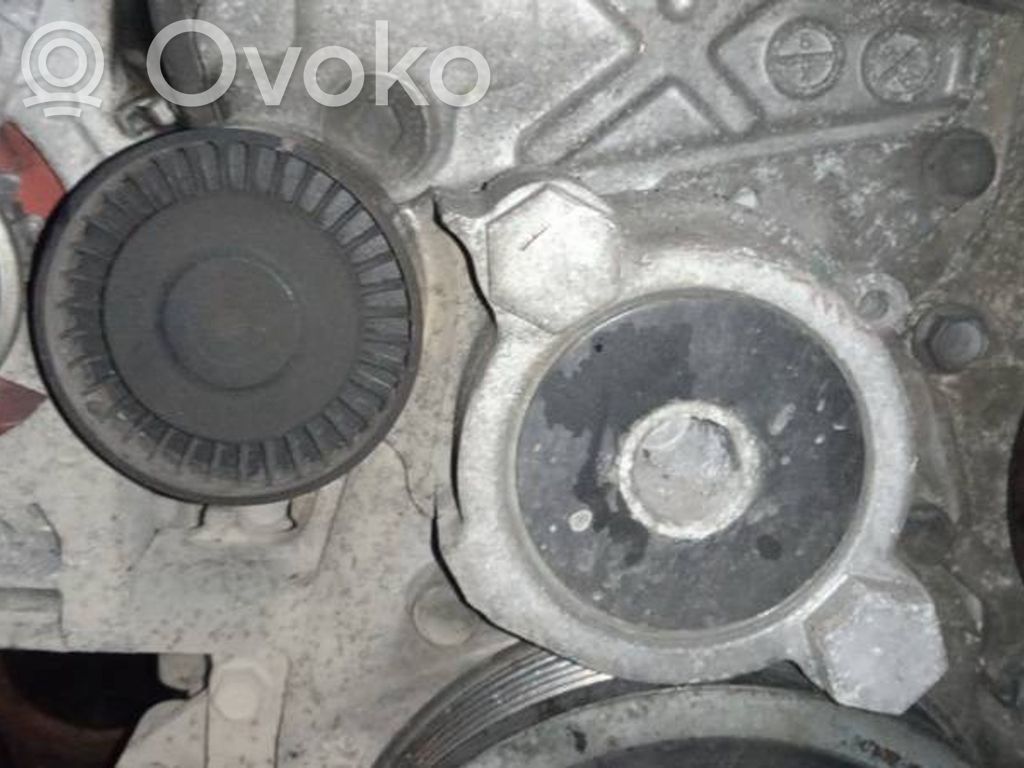 Toyota Avensis T270 Tendicinghia generatore/alternatore