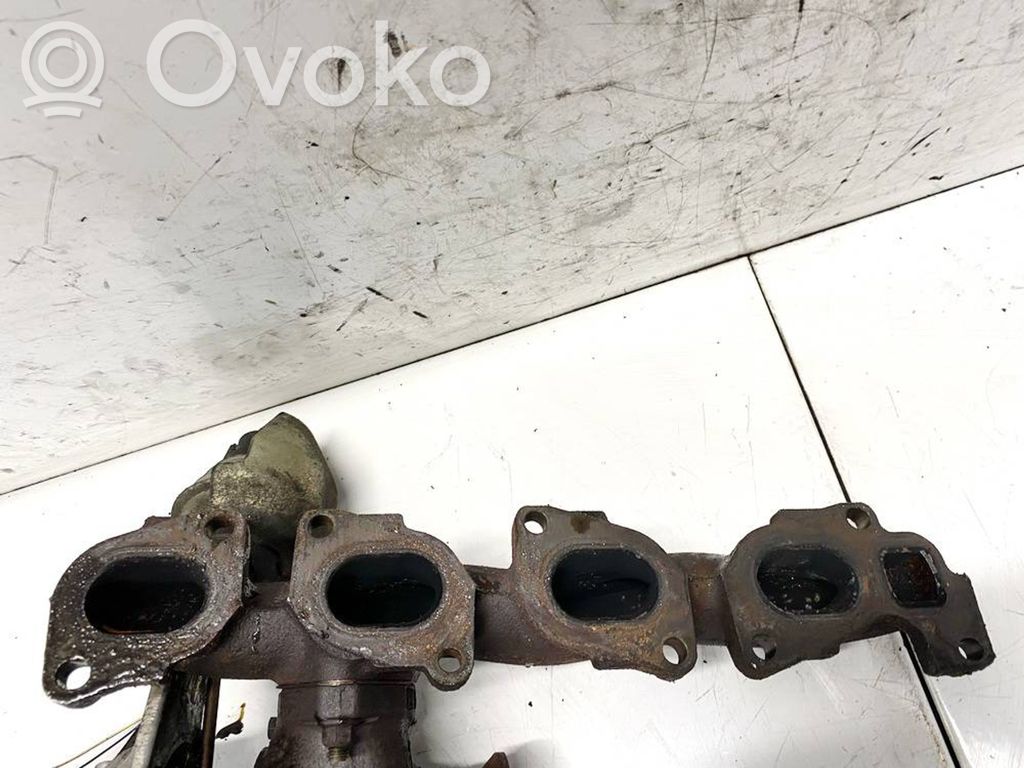 Pakosarja   55565985,428702815,428702815,55565985