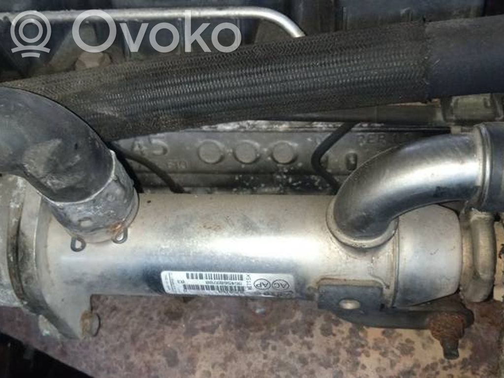 Peugeot 308 Valvola di raffreddamento EGR