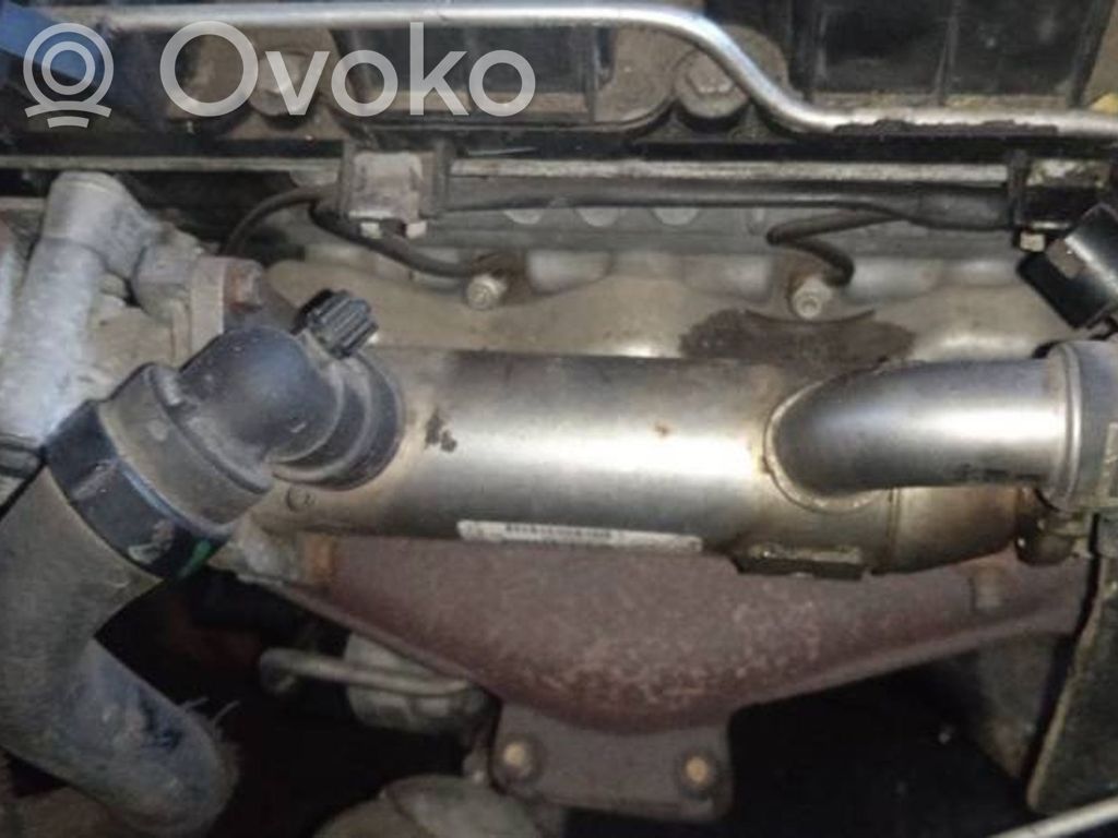Citroen C5 Valvola di raffreddamento EGR