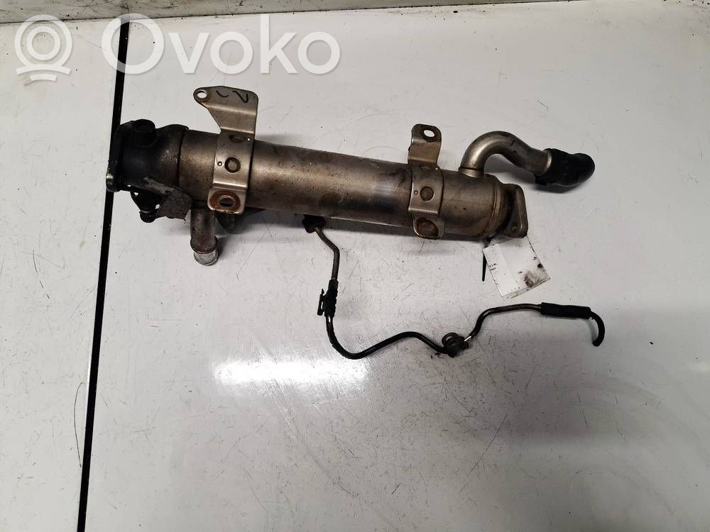 Volkswagen PASSAT B6 Chłodnica spalin EGR 