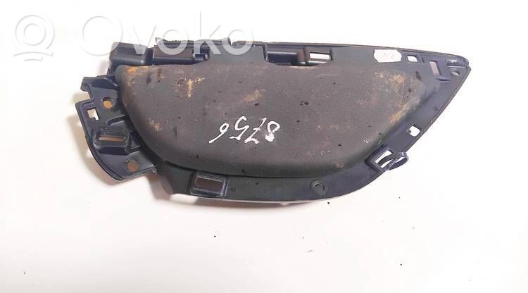 Citroen DS4 Kita išorės detalė 