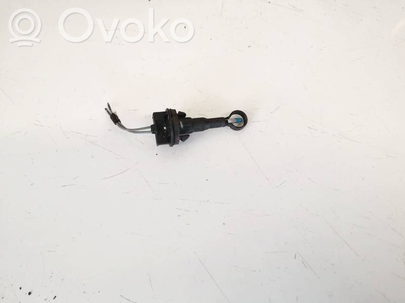 Innentemperatursensor   006667V,006667V