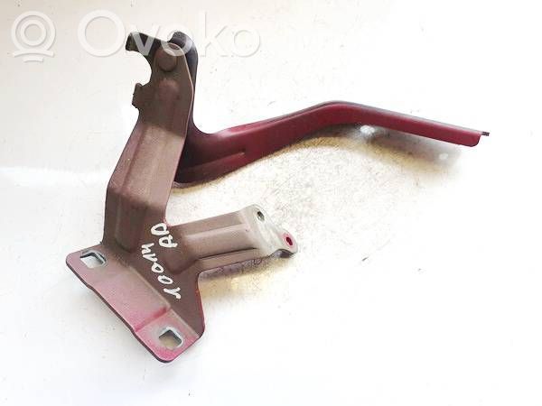 Nissan Leaf I (ZE0) Engine bonnet/hood hinges 