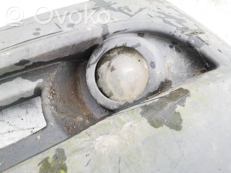 Ford Transit Fendinebbia anteriore