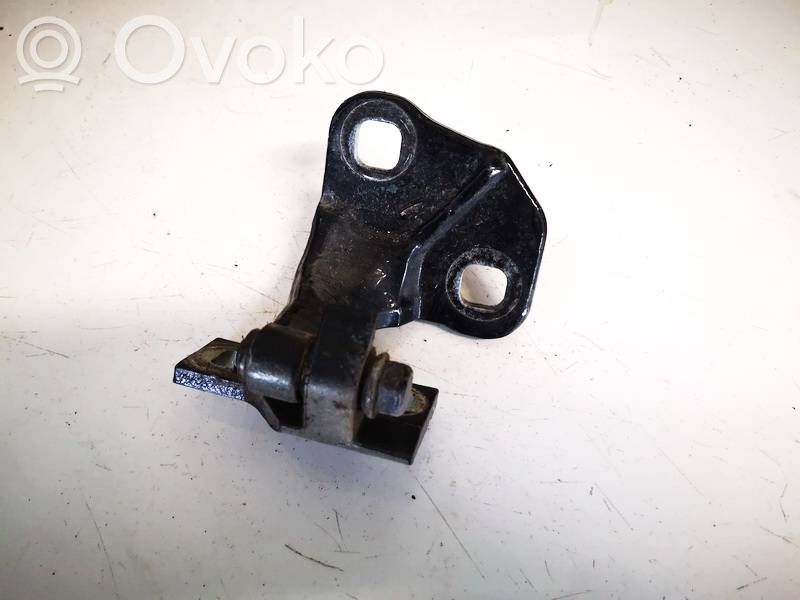 Rear door lower hinge   7017817,7017817