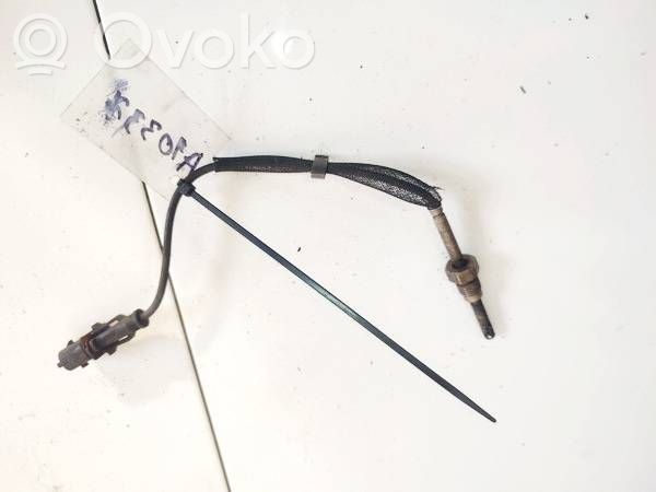 Abgastemperatursensor   FGP55355404,FGP55355404