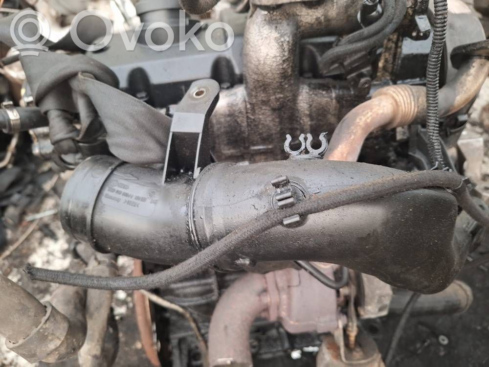Volkswagen Golf IV Furtun/conductă intercooler 