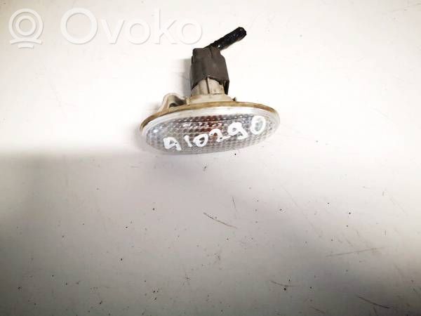 Seitenblinker   P2829,P2829