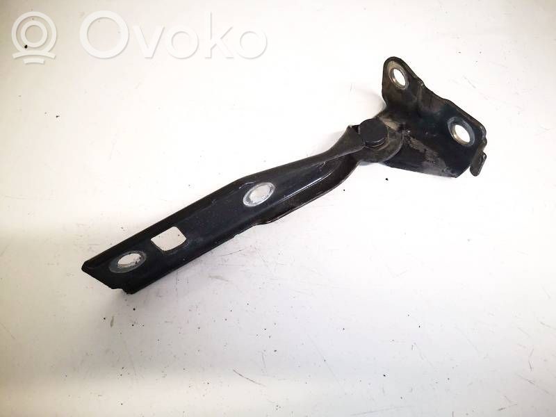 Volkswagen Golf IV Cerniere del vano motore/cofano