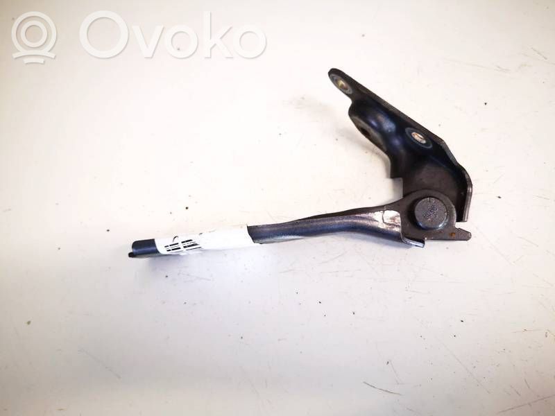Audi A3 S3 8L Cerniere del vano motore/cofano