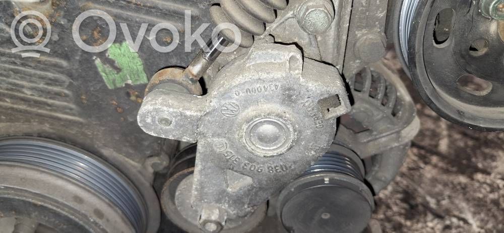 Tensor de correa del alternador   038903315,038903315