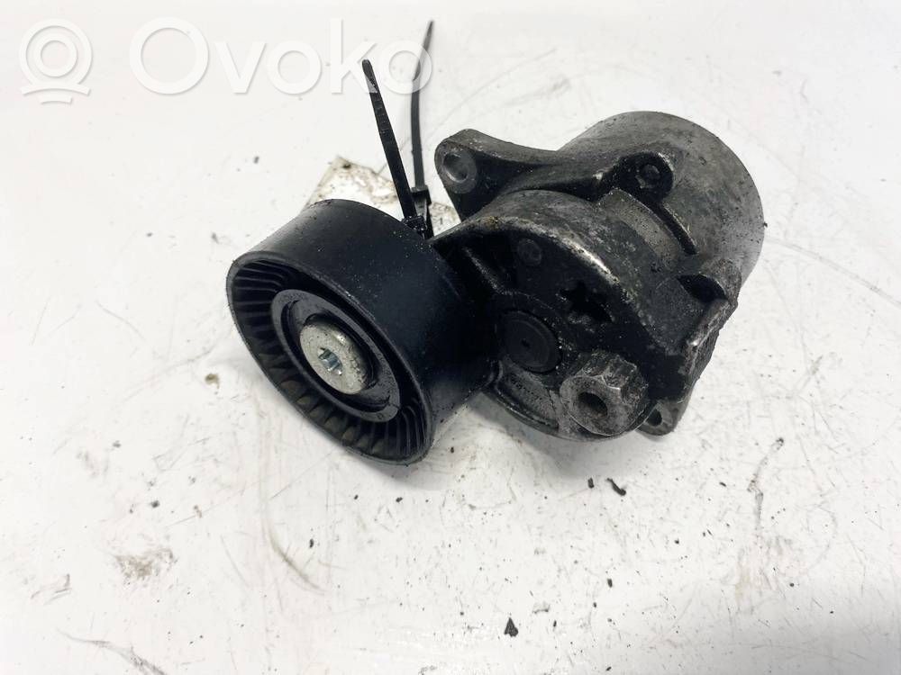 Mercedes-Benz E W211 Tendicinghia generatore/alternatore 
