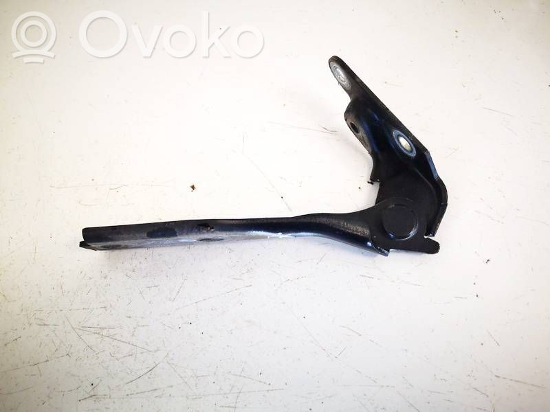 Audi A3 S3 8L Cerniere del vano motore/cofano