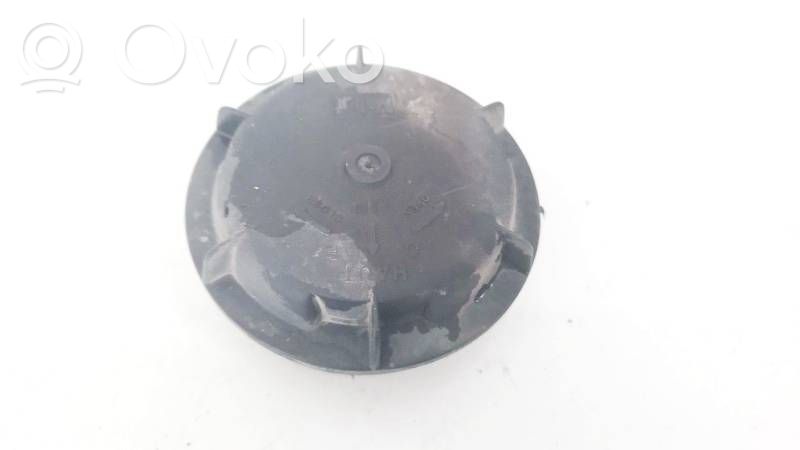Renault Scenic I Parapolvere per faro/fanale