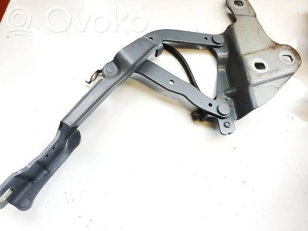 BMW X1 E84 Cerniere del vano motore/cofano 