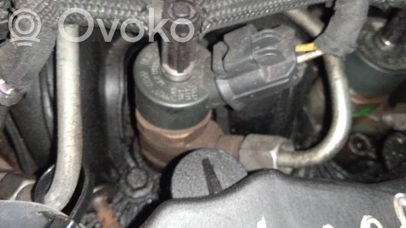 Inyector de combustible   0445110239,0445110239
