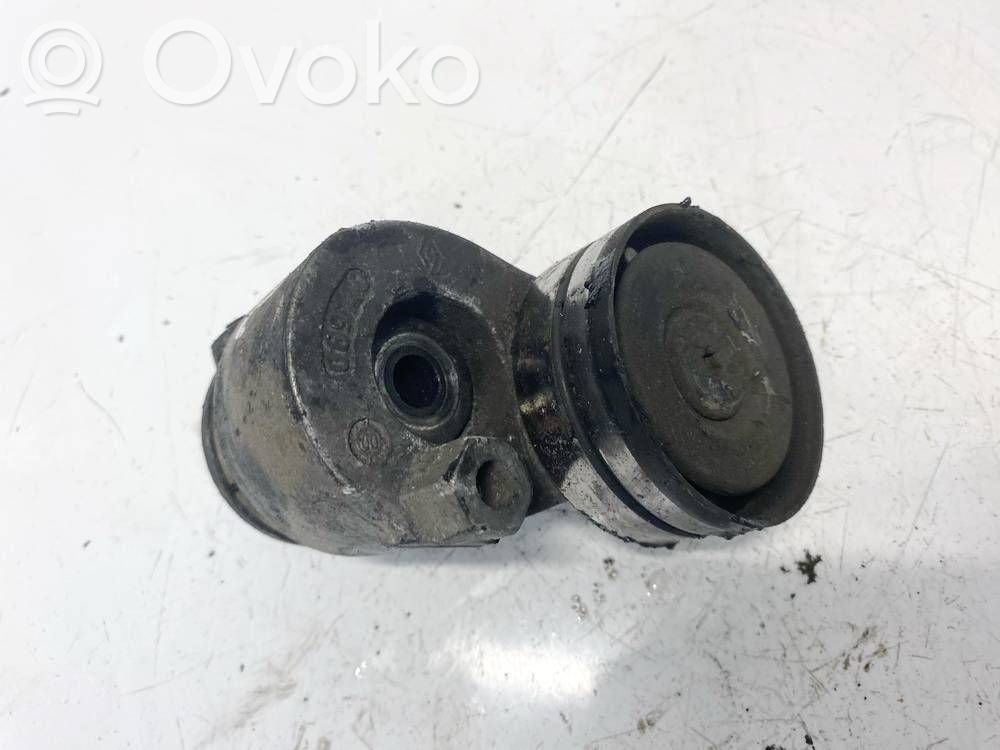 Volvo S40, V40 Tendicinghia generatore/alternatore 