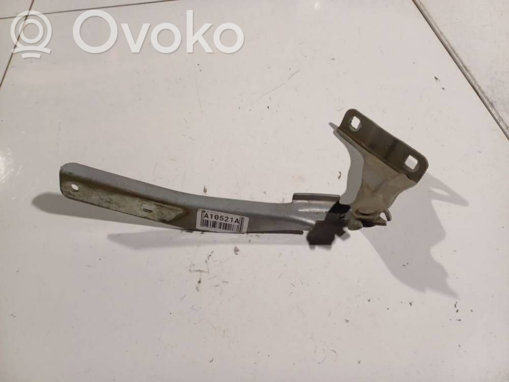 Tailgate/trunk/boot hinge