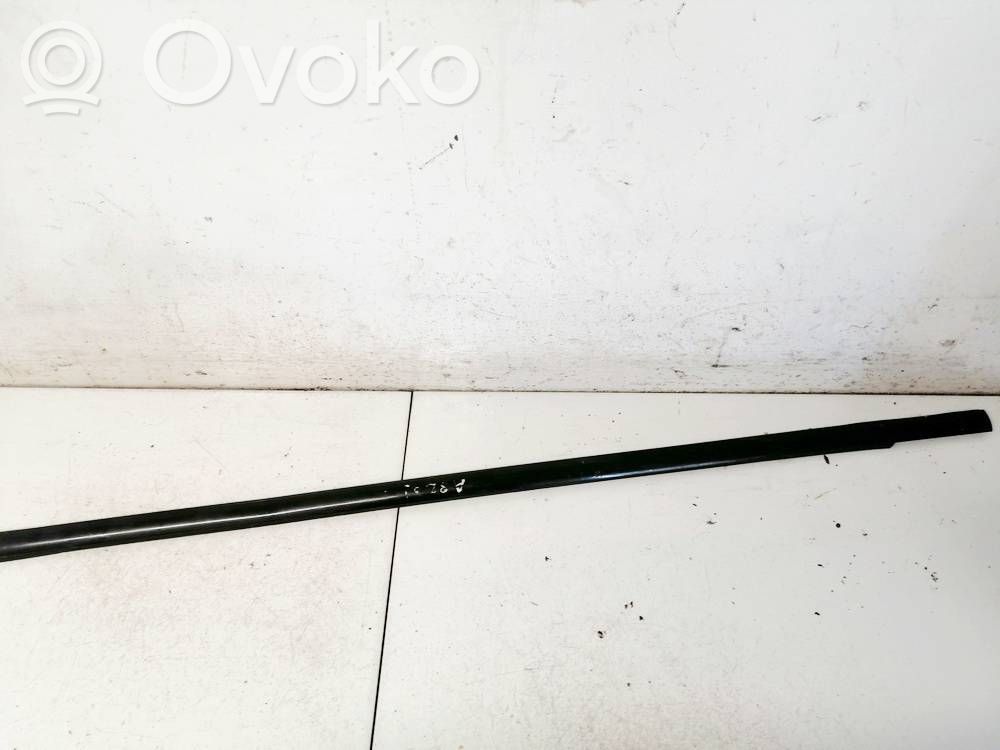 BMW X5 E53 Listwa / Uszczelka szyby drzwi 