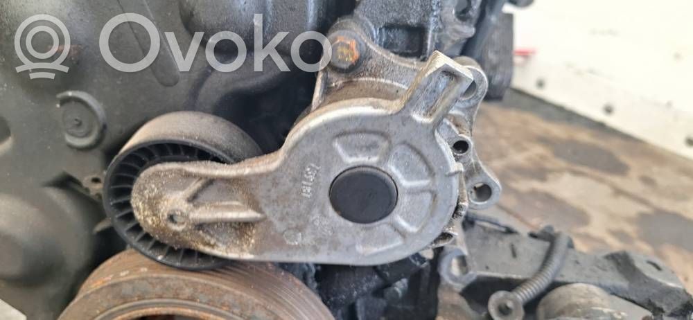 Peugeot 508 Întinzător curea generator/alternator 
