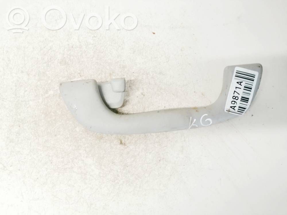 Poignée intérieur plafond   D350,D350