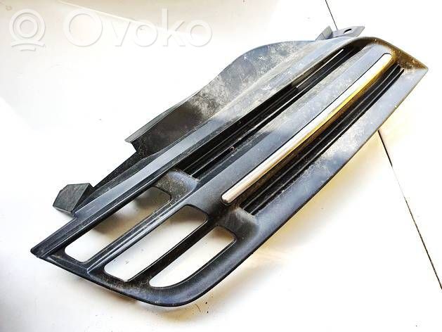 Etusäleikkö   DS0724201,DS0724201