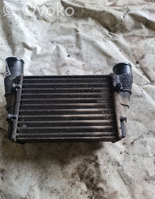Volkswagen PASSAT B5 Radiator intercooler 