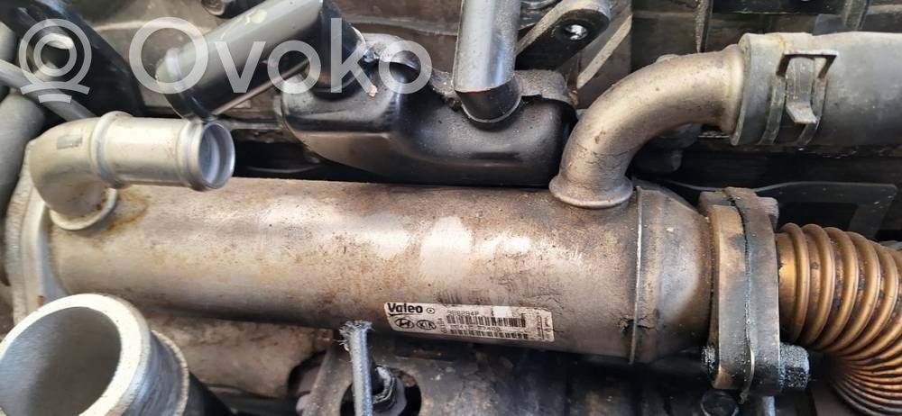 Hyundai Santa Fe Valvola di raffreddamento EGR 