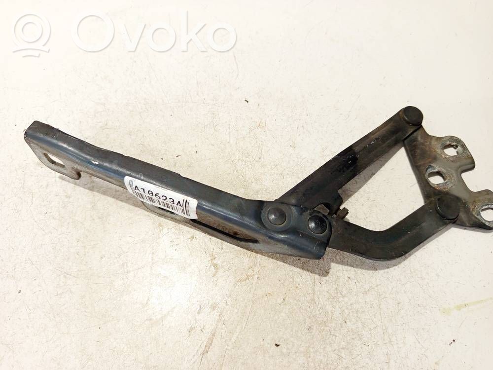 Scharnier Motorhaube   473499010,473499010